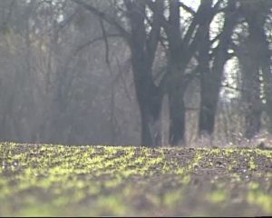 Скільки коштує врожай-2012