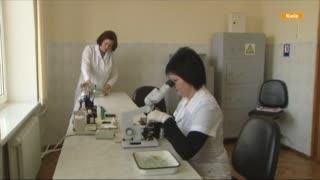Звідки беруться паразити та як їх позбуватися