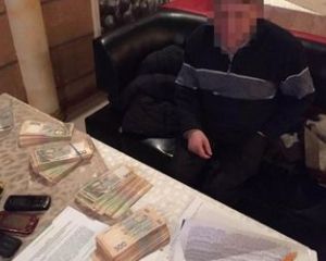 Під час втечі суддю Бурана вкусила собака