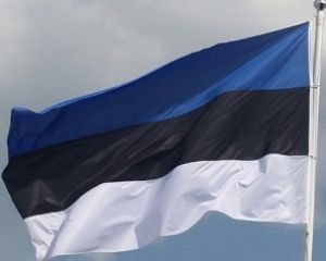 Естонія не впустила до себе танці та пісні російських військових Естонія не впустила до себе танці та пісні російських військових