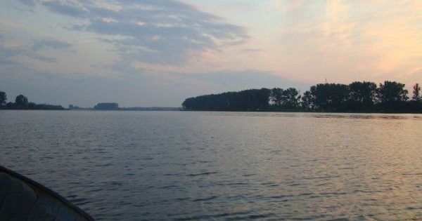 добротвор