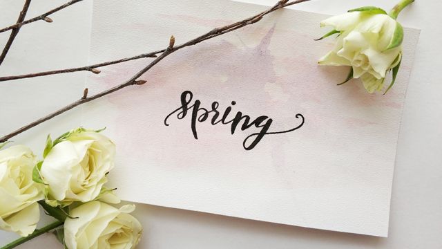 87% украинцев против отмены праздника 8 марта — опрос