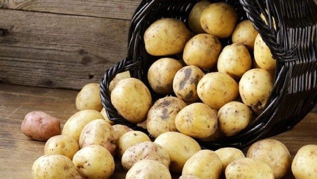 Ціни на картоплю: чи будуть зростати та чи вистачить на усіх