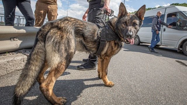 101650350_10223563281972608_2235545634507587584_o