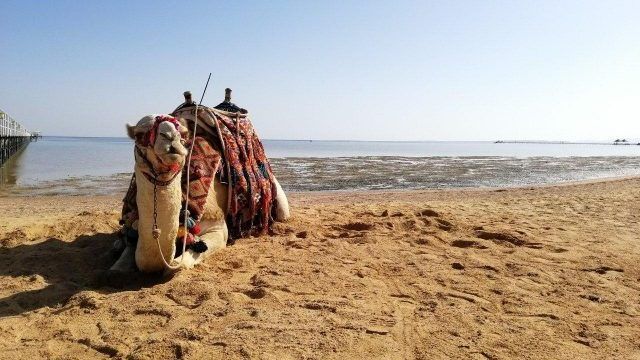 Море Египет