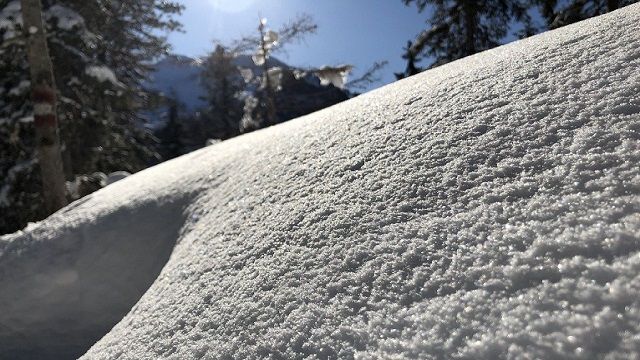 Погода на 13 лютого 2022 в Україні – прогноз погоди на завтра