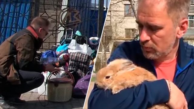 Шевелился среди окровавленных вещей: кролик, который выжил после ракетного удара по Краматорску кролик з краматорська