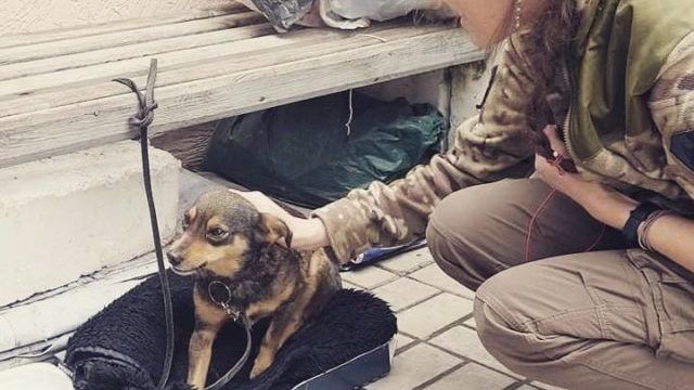 маріуполь