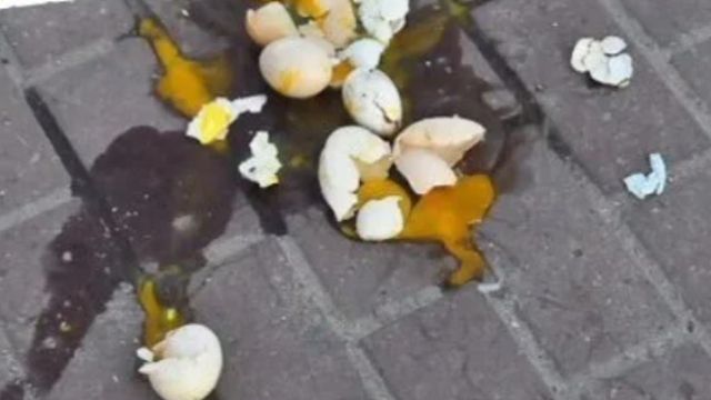 Мелітополь: місцевий пенсіонер закидав яйцями любительку русского міра