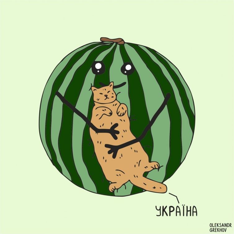 ЗСУ у Херсоні – реакція українців та меми Фото 2