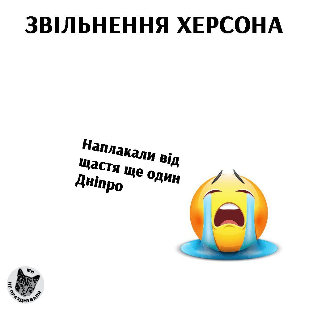 ЗСУ у Херсоні – реакція українців та меми Фото 5