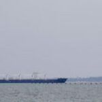 Філія данської компанії Baltic Control допомагає РФ перевозити зерно з ТОТ