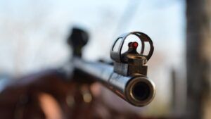 рушниця, дробовик