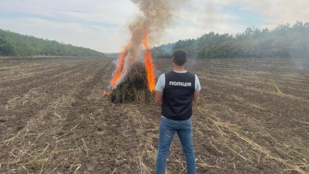 Коноплі