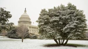 В Конгрессе США критикуют «мирный план» Трампа