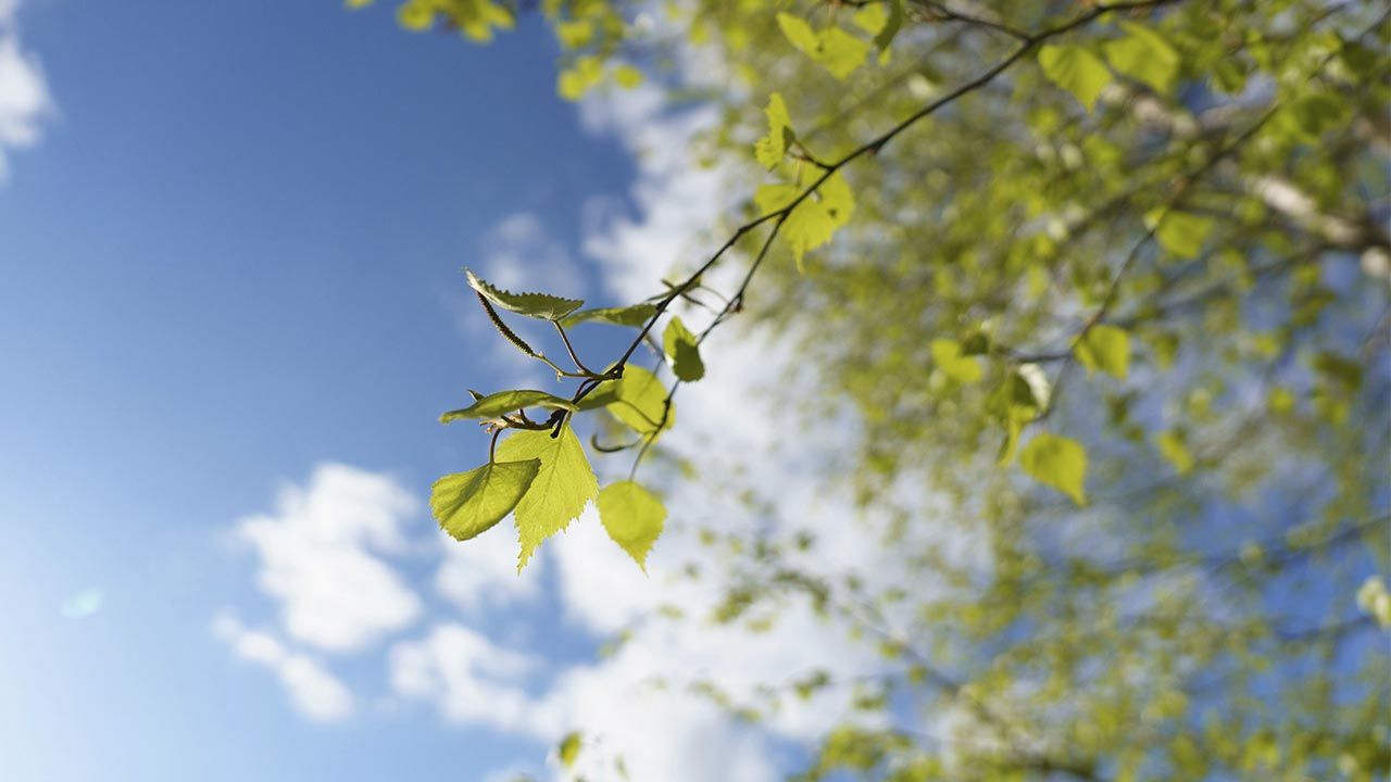 Яке свято 6 квітня та як не накликати на себе біду
