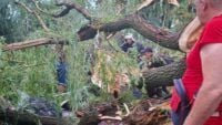 негода в одеській області забрала життя підлітка