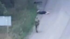 Ростріл цивільного на Донеччині