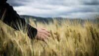 Яке свято 24 серпня 2025 та куди не слід ходити яке свято 24 серпня 2025