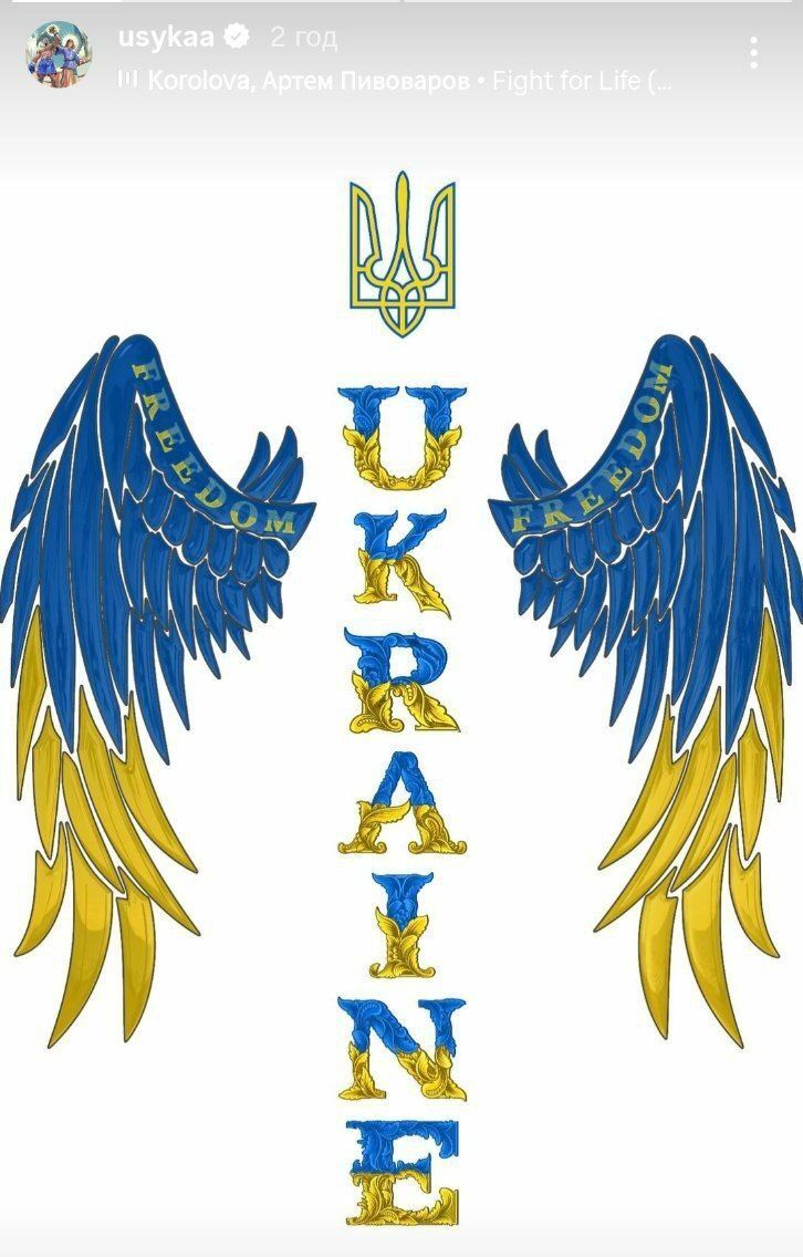 Символ свободи й нескореності: Світоліна, Харлан, Усик вітають з Днем прапора Фото 2 Привітання спортсменів із Днем державного прапора України 2025 Фото 2