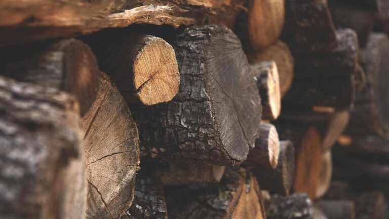 зберігання дров без документів