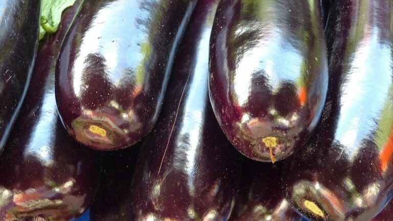 баклажан знижує холестерин