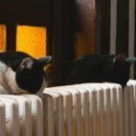 Що відомо про завершення опалювального сезону в Одесі цього року