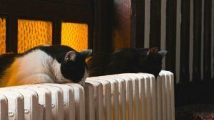 завершення опалювального сезону в Одесі,