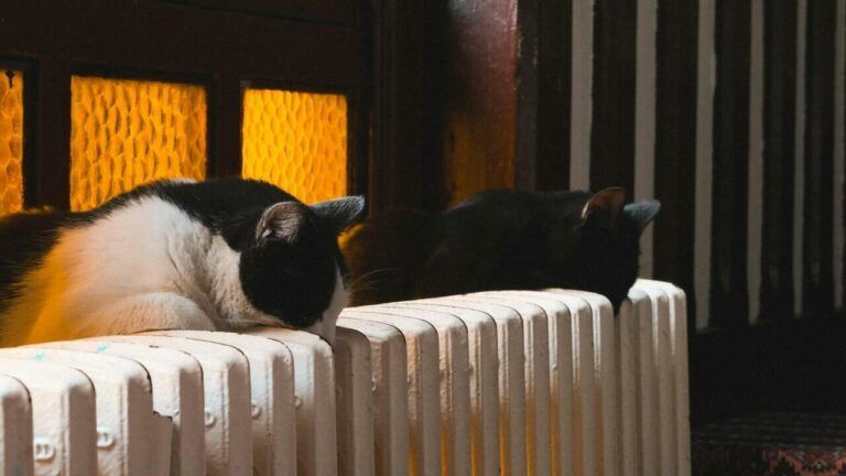 завершення опалювального сезону в Одесі,