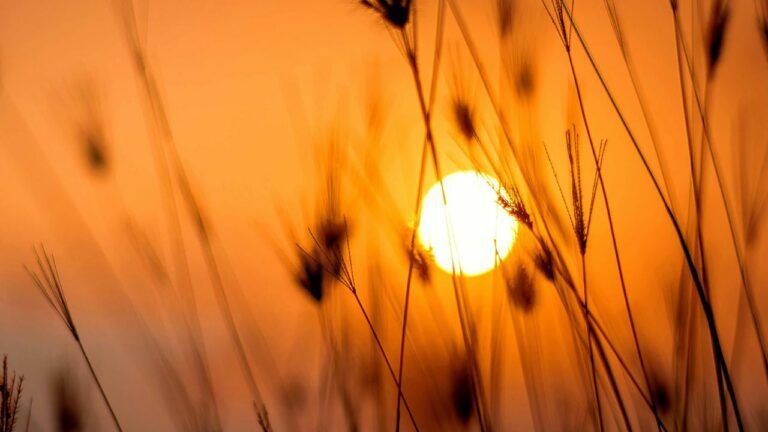 Магнітні бурі в листопаді 2025