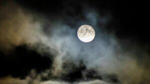 повня у листопаді 2025