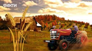 Посівний календар на листопад 2025