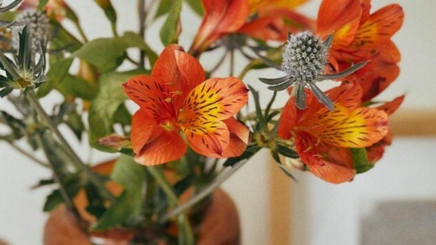 Какой праздник 26 октября 2025 и почему сегодня плохой день для свадьбы яке свято 26 жовтня 2025