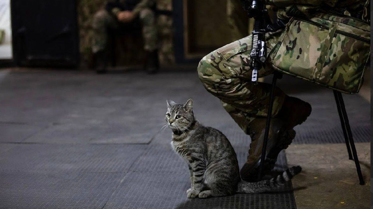 Олександр Сирський – поїздка на гарячий напрямок фронту