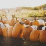 Какой праздник 29 октября 2025 и что может закончиться неудачей