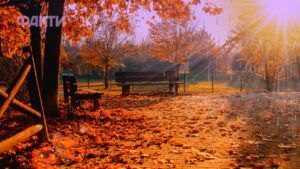 погода в україні