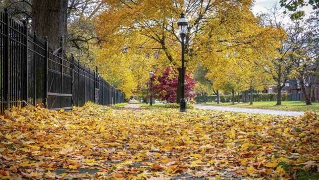 свято 5 листопада 2025