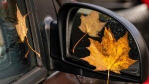 погода в Одессе в ноябре