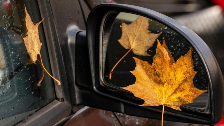 погода в Одессе в ноябре