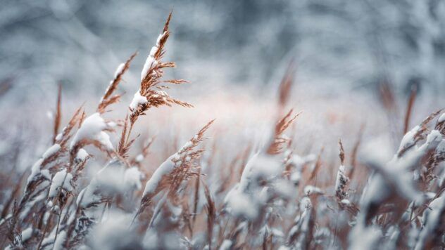снег в Одессе
