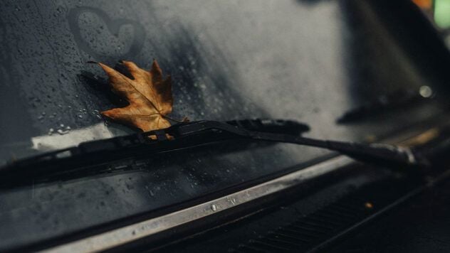 свято 11 листопада 2025