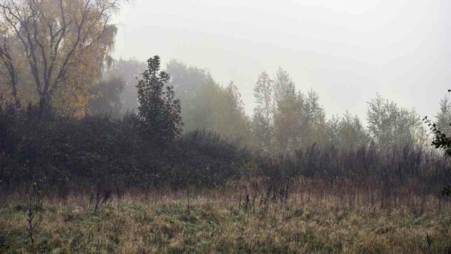 свято 13 листопада 2025