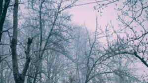 сніг у Дніпрі