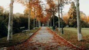 Яке свято 18 листопада 2025: придивіться до оточення та утримайтеся від подорожі яке свято 18 листопада 2025