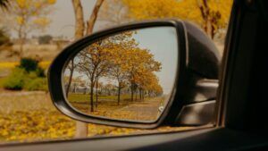 яке свято 22 листопада 2025