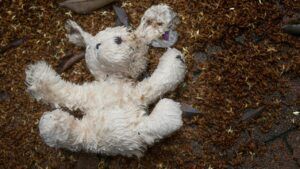 захист дітей