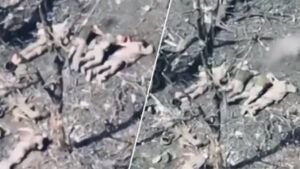 В Покровском районе оккупанты расстреляли пятерых бойцов ВСУ Россияне расстреляли 5 военнопленных: начато расследование