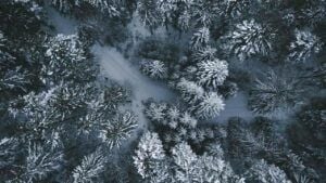 Яке свято 1 грудня 2025 та чому день краще провести активно 1 грудня 2025