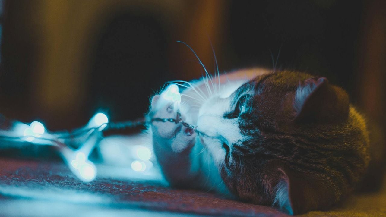 Графіки відключення світла на 5 грудня: коли не буде електрики