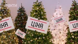 за скільки можна придбати новорічну ялинку у 2025 році,